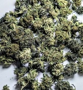 2025 50g Legalny naturalny susz CBG od producenta