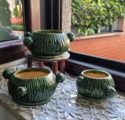 Doniczką że spodkiem "Kaktusowy styl"