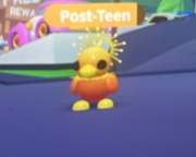 Adopt me Sunrise duckling (normal)