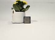 Intel Core I3 7101TE 4 Wątki 3,4 GHZ LGA 1151