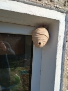 Sztuczne gniazdo ODSTRASZACZ OS SZERSZENI   wodoodporne 14cm 3d wydruk 