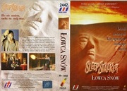 ŁOWCA SNÓW -unikat