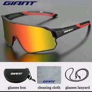 Okulary przeciwsłoneczne Giant