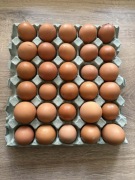 Jajka od kur z wolnego wybiegu