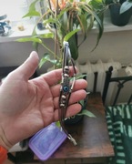 Premium branzoletka the last of us regulowana długość