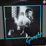 Gazebo  Gazebo winyl