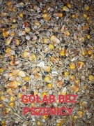 Karma dla gołębi bez pszenicy 20kg 