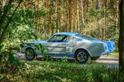 Ford Mustang Fastback 1965