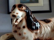 Spaniel figurka porcelanowa kolekcjonerska DUŻA z Niemiec 