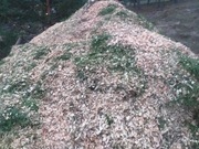 Zrębki pod drzewka owocowe leśne 