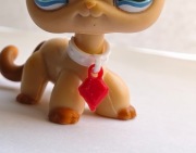 Obroża dwukolorowa dla littlest pet shop 