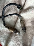 Sonda Lambda Bmw e39 m54