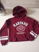 C&A Harvard University bluza przez głowę kaptur r 146-152