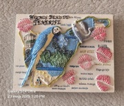 Magnes ceramiczny na lodówkę Teneryfa. Papuga Wyspy Kanaryjskie. Canary(14)