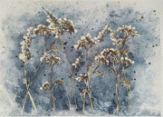 Oryginalna akwarela "Zimowe trawy II"
