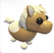 Shetland Pony Light Brown - Adopt Me Roblox