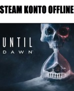 Until Dawn           