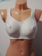 Anita calmia 80 B 