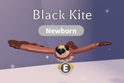 ROBLOX ADOPT ME Black Kite