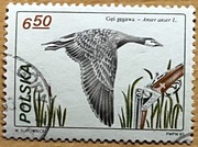 2606, * kasowany, Łowiectwo