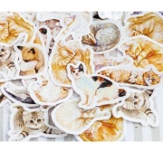 Naklejki dekoracyjne I Like Cats.