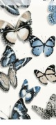 Tapeta 2szt motyle winil. na fliselinie.zmywalna