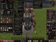 mt2009 metin2009 sura 37lv dropek z eq bojowiec 