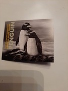 Pingwin Czubaty 1 uncja Srebra 2020 moneta mennicza + CERTYFIKAT