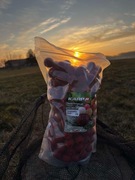 kulki zanętowe KarpR truskawka-kryll 20mm 1KG