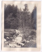 Międzygórze ok.1900r FOTOGRAFIA DUŻA TEKTURA  x206