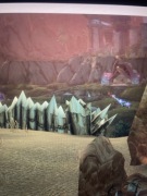 Kupię cionsy za dobrą cenę