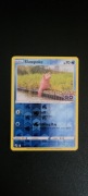 Pokemon Go Slowpoke RH 19/78
