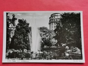 KRAKÓW      -  FOTO / Pocztówka  /  PLANTY