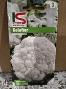 Kalafior nasiona 