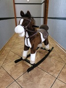 Konik na biegunach