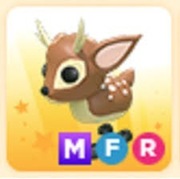 Mfr fallowe deer 