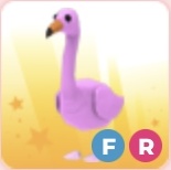 FR Flamingoo | Adopt Me Roblox