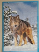 Puzzle w antyramie obraz wilk 50 x 70