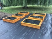 Skrzynia na warzywa/zioła/kwiaty - warzywniak do ogrodu