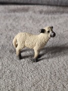 Jagnię rasy shropshire schleich