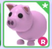 R Pig! |NAJTANIEJ SZYBKO DUŻO POLECEŃ!| Adopt Me |Roblox