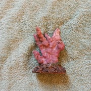 Koral ozdoba do akwarium