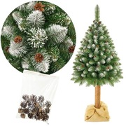 Choinka na pniu 180cm