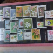 Klaser ze znaczkami o tematyce KWIATY 