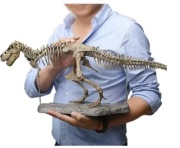 IY szkielet model dinozaura zabawka dekoracja t-rex 70cm