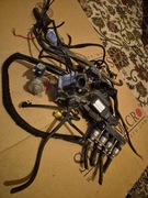 Instalacja gazowa sekwencja LPG Stag 200 Gofast Barracuda 115  AC R01 