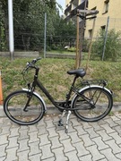 Rower damski Rixe, Nexus 8