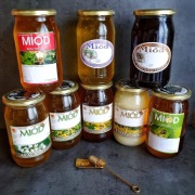 Miód 