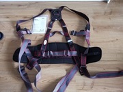Pioneer 3-Point Harness