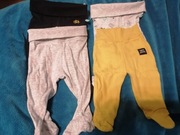 Półspiochy niemowlęce r. 56